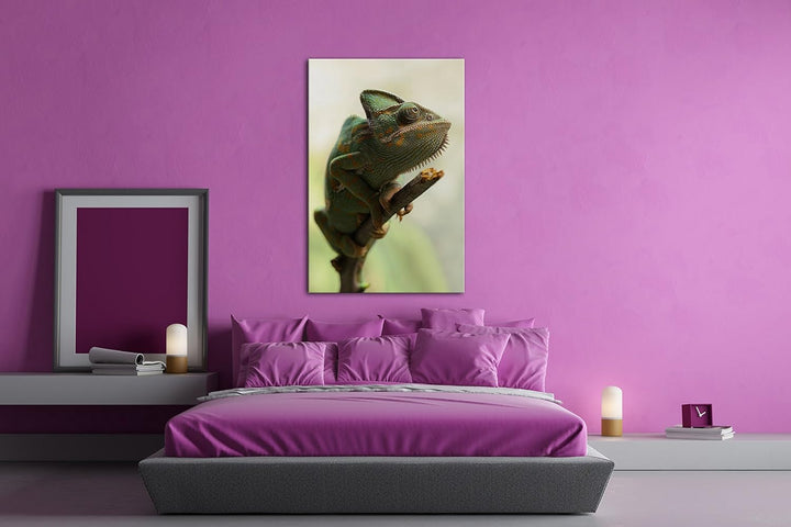 deyoli exotisches Chamäleon im Format: 80x60 als Leinwandbild, Motiv fertig gerahmt auf Echtholzrahm