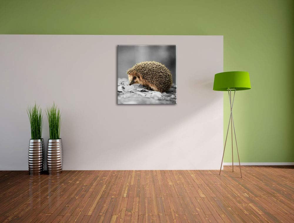 Pixxprint Kleiner süsser Igel im Laub als Leinwandbild Quadratisch/Grösse: 70x70 / Wandbild/Kunstdru