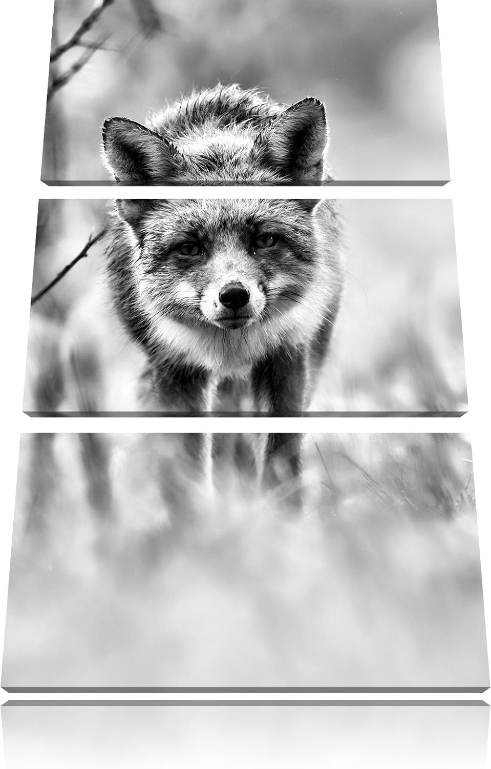 Pixxprint Schleichender Fuchs als Leinwandbild | Grösse: 3 Teilig (120x80) | Wandbild| Kunstdruck |