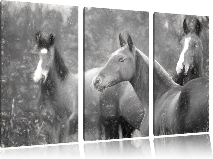 Pixxprint schöne Pferde auf der Wiese Kunst als Leinwandbild/Grösse: 3 Teilig (120x80) cm/Wandbild/K