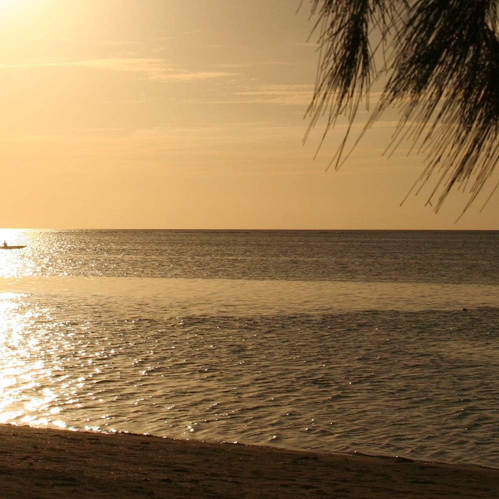 Feeby Wandbild Strand 200x100 cm Deco Panel 5 Teilig XXL Kunstdruck Meer Boot braun Deco Panel XXL 2