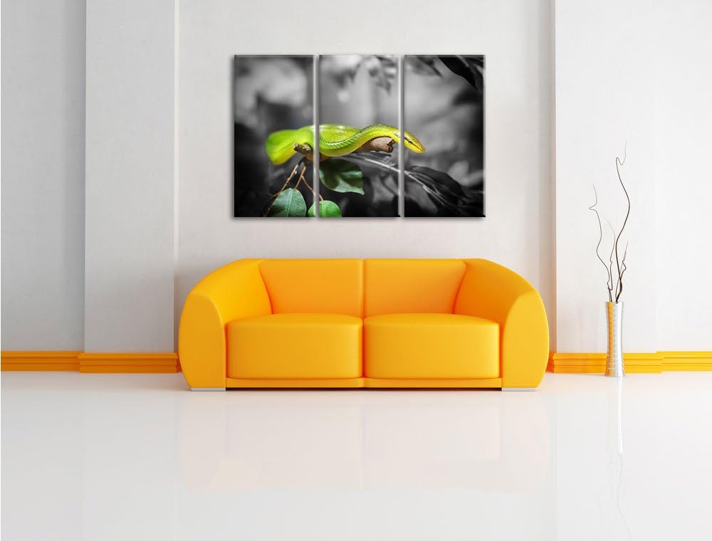Pixxprint Raue grüne Schlange als Leinwandbild | Grösse: 3 Teilig (120x80) | Wandbild| Kunstdruck |