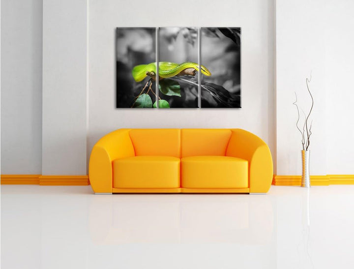 Pixxprint Raue grüne Schlange als Leinwandbild | Grösse: 3 Teilig (120x80) | Wandbild| Kunstdruck |
