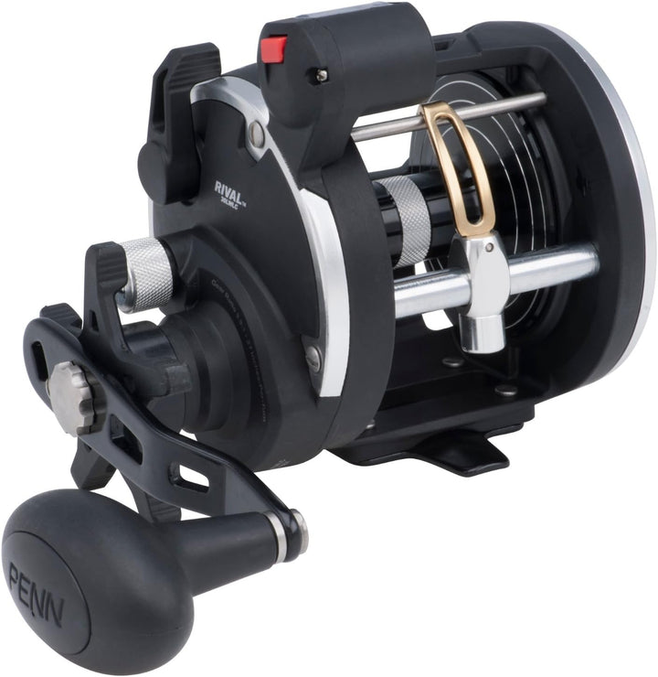 PENN Rival Level Wind Multirolle für Boote und Kajaks – Hochleistungs-Salzwasserrolle für Dorsch, Ba