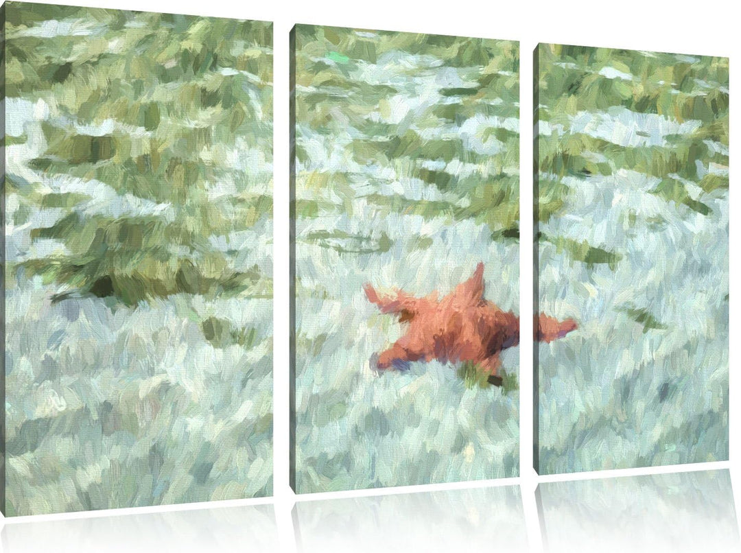 Seestern im klaren Wasser NewArt 3-Teiler Leinwandbild 120x80 Bild auf Leinwand, XXL riesige Bilder