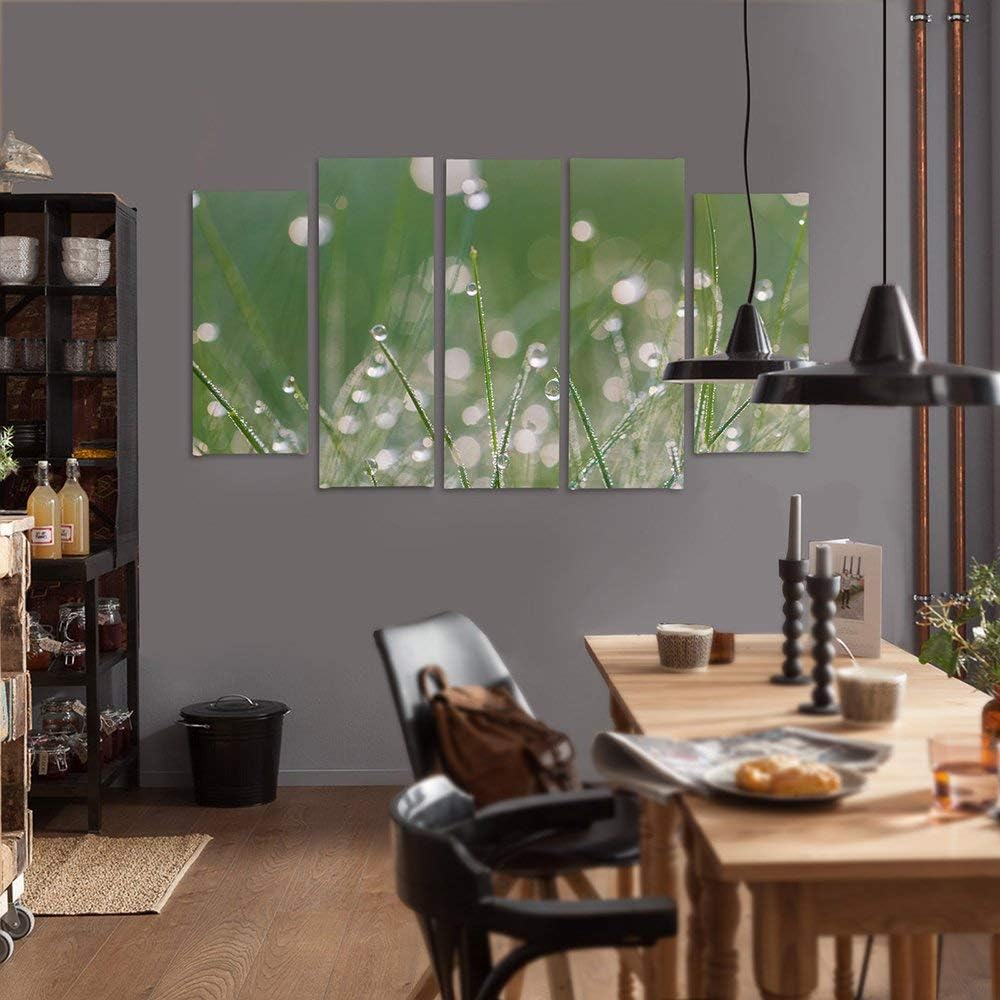 Feeby Frames, Leinwandbild Bilder Wand Bild - 5 Teile - Wandbilder Kunstdruck (TAUTROPFEN GRAS, GRÜN