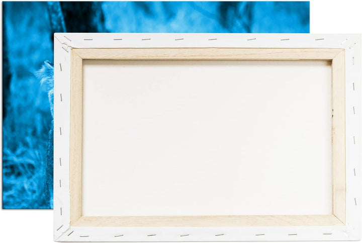 deyoli brüllende Löwin Format 80x60 Effekt: Monocrome Blau als Leinwandbild, Motiv fertig gerahmt au