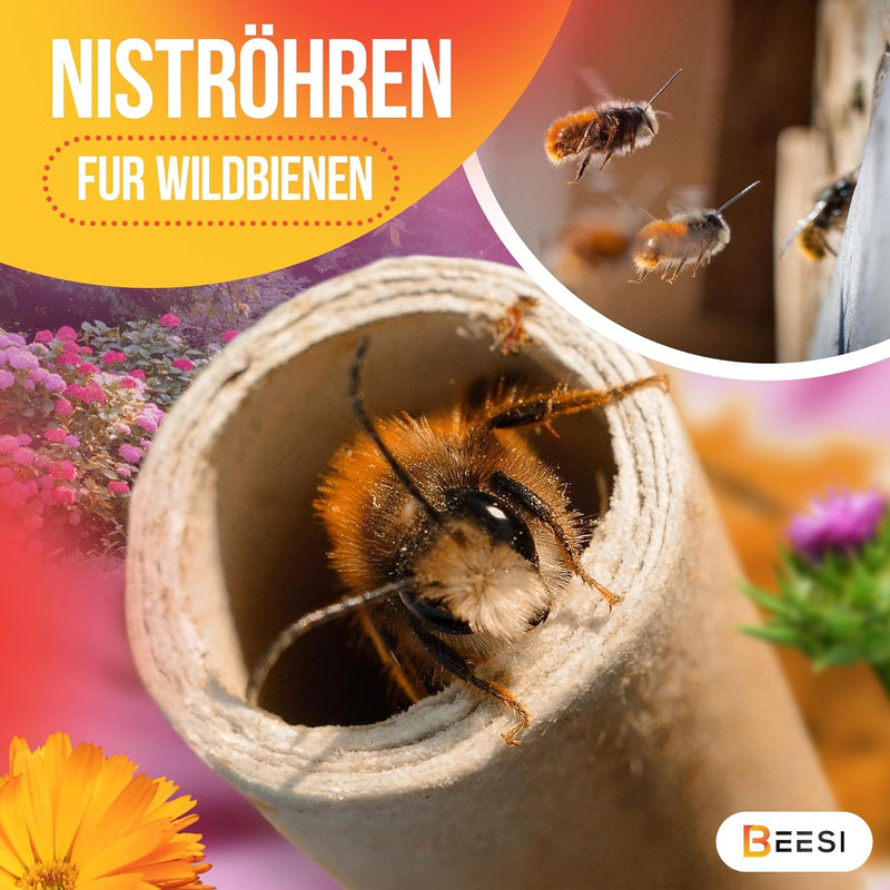 BEESI 600x Nisthülsen für Wildbienen 6 und 8 mm Ø I Wasserabweisend hohe Lebensdauer I Nisthilfe, Zu