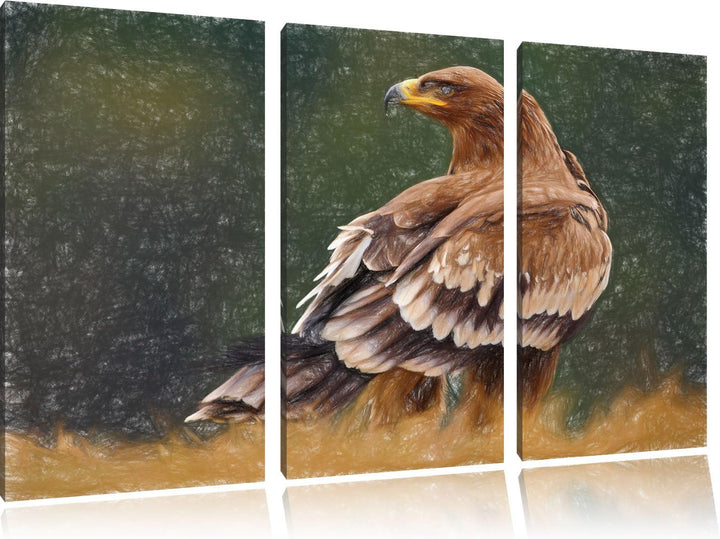 Pixxprint Falke mit braunem Gefieder als Leinwandbild 3 teilig/Grösse: 3 Teilig (120x80) / Wandbild/