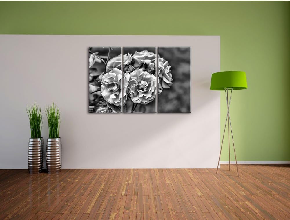 Pixxprint Weiss gelbe Rose Blumen als Leinwandbild/Grösse: 3 Teilig (120x80) cm/Wandbild/Kunstdruck/