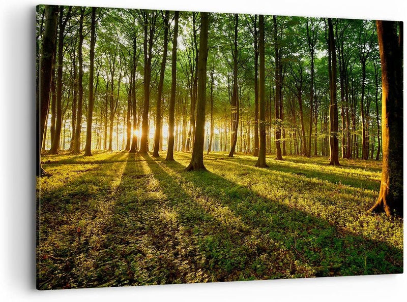 Bilder auf Leinwand 100x70cm Leinwandbild Wald grün Sonnenstrahlen Natur Gross Wanddeko Bild Schlafz