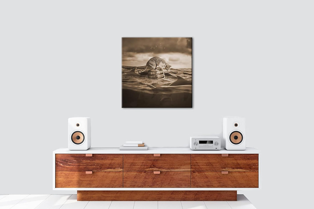 Katze im Hai verseuchten Gewässer Effekt: Sepia Format: 60x60 als Leinwandbild, Motiv fertig gerahmt