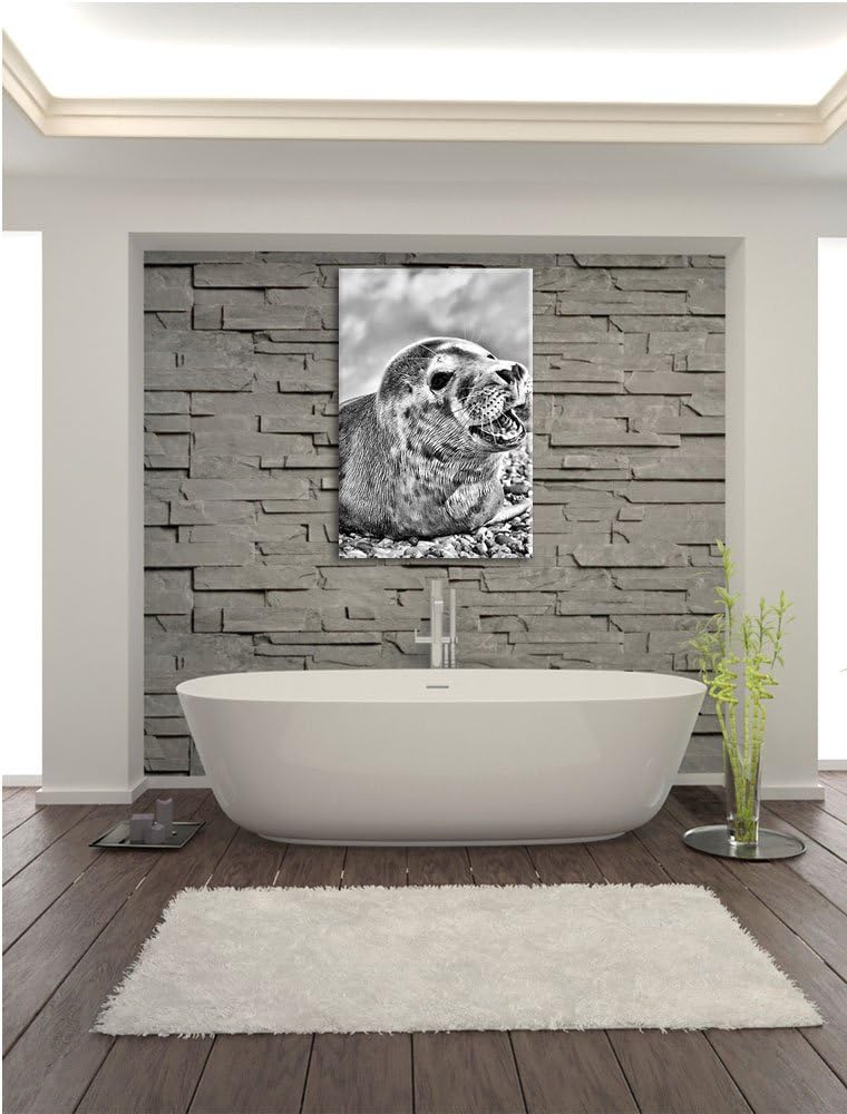 Pixxprint Süsse Robbe auf Steinstrand / 100x70cm Leinwandbild bespannt auf Holzrahmen/Wandbild Kunst