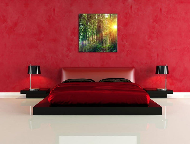 Wald bei Sonnenlicht, Format: 70x70 auf Leinwand, XXL riesige Bilder fertig gerahmt mit Keilrahmen,