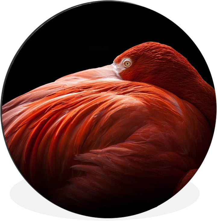 MuchoWow Wandbild Rund Wanddeko Deko Wohnzimmer Bilder 30x30 cm Flamingo - Federn - Rosa, 30x30 cm