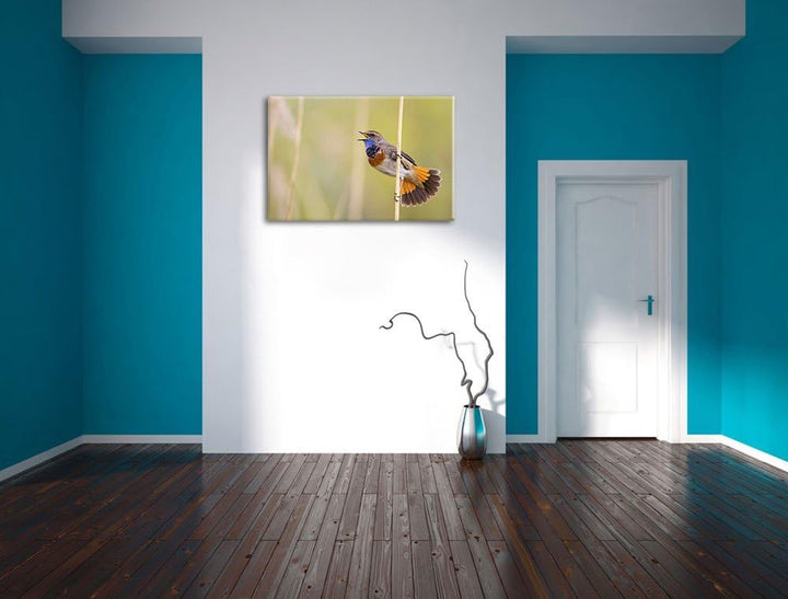 schönes kleines Blaukehlchen Leinwand, XXL riesige Bilder fertig gerahmt mit Keilrahmen, Kunstdruck