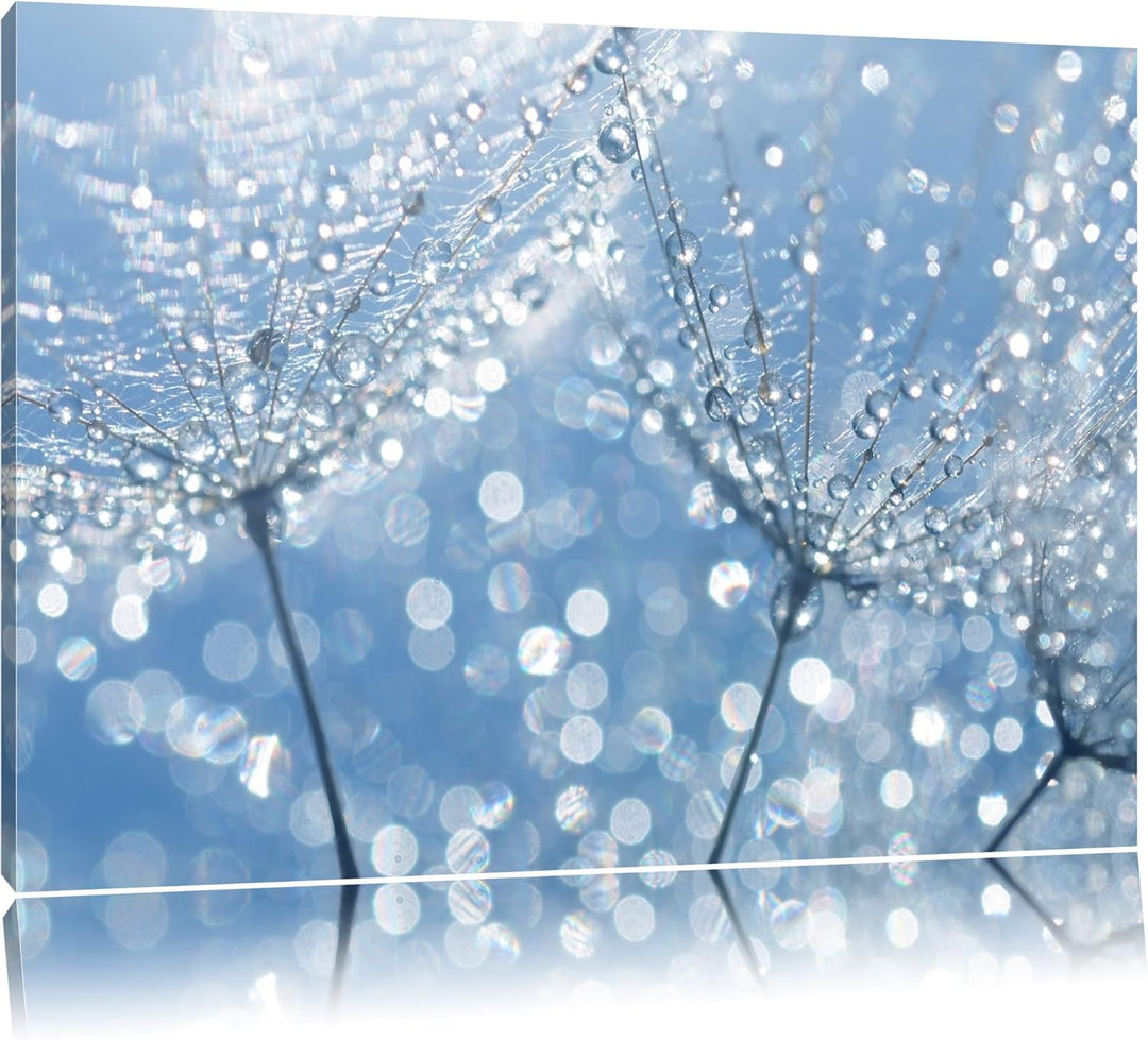 Morgentau auf Schirmfliegern Format: 100x70 auf Leinwand, XXL riesige Bilder fertig gerahmt mit Keil