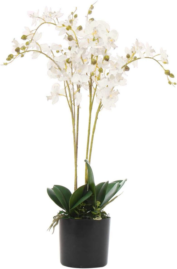 Leaf Kunstpflanze Orchidee, Blätter, 60 cm, Weiss 60cm White, 60cm White