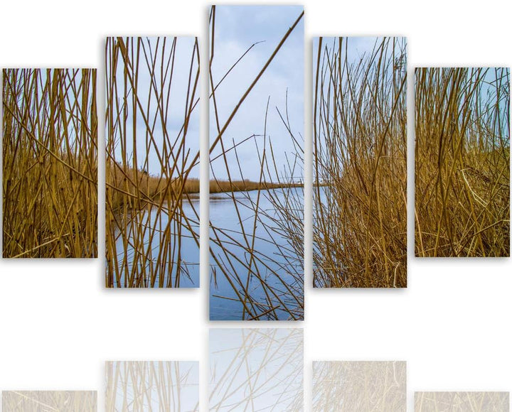 Feeby Leinwandbild 5 Teilig Natur Bild Wanddeko Kalmus See Wasser Himmel braun 150x100 cm Leinwandbi