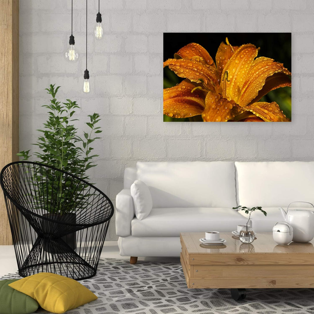 Feeby Leinwandbild Pflanze Bild Kunstdruck Natur Orange 70x50 cm Leinwandbild 70x50 cm Orange_A, Lei