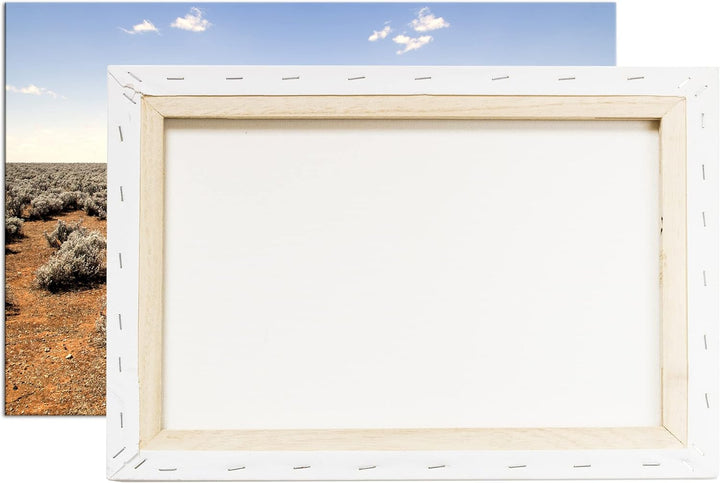 deyoli einsamer Baum in unfruchtbaren Wüste Format: 80x60 als Leinwandbild, Motiv fertig gerahmt auf