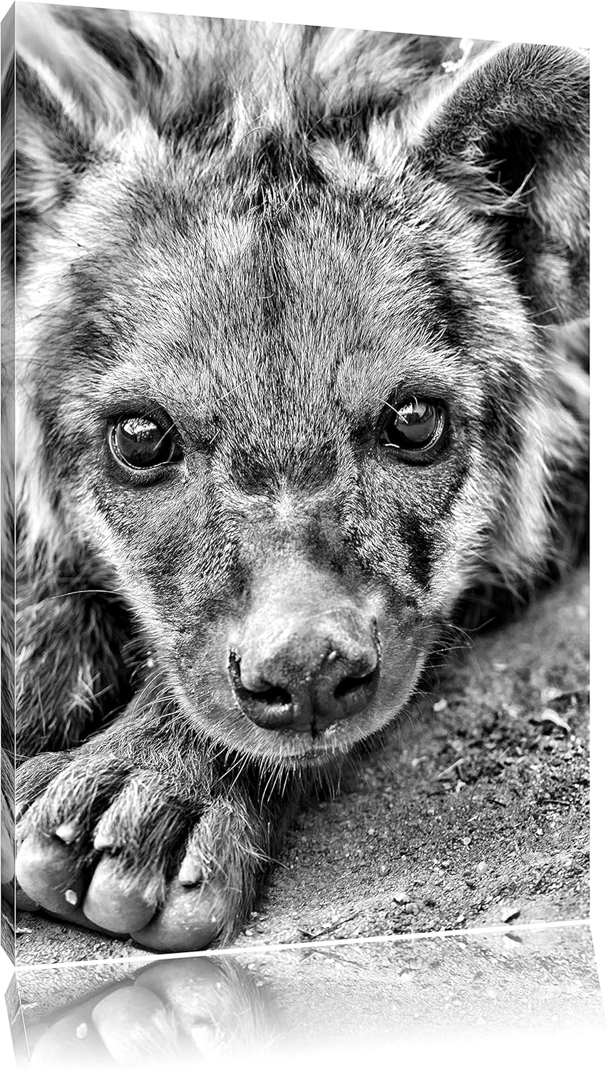 Pixxprint Monocrome, niedliche Hyäne, Format: 100x70 auf Leinwand, 100x70