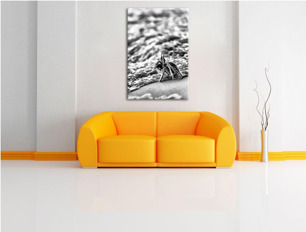 Pixxprint Monocrome, kleine Krabbe am Strand als Leinwandbild | Grösse: 100x70 | Wandbild| Kunstdruc