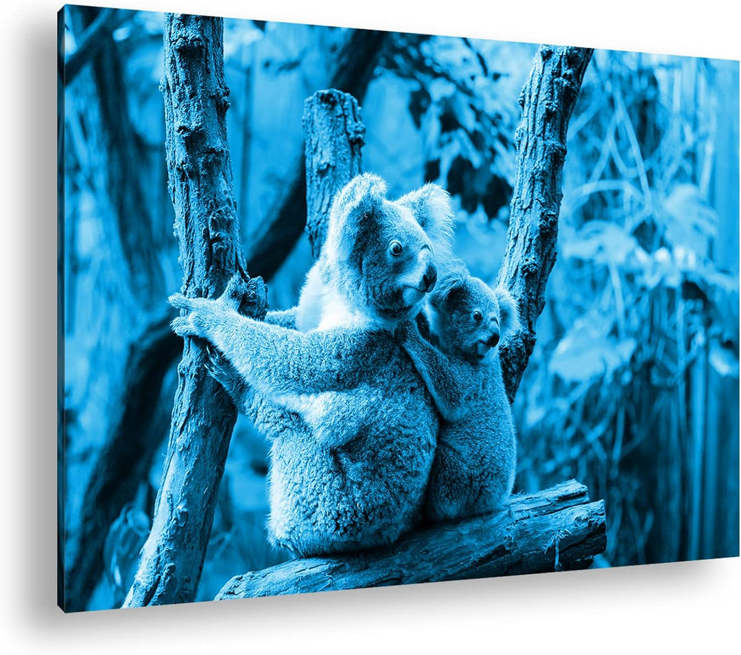 deyoli niedliche Koala Mutter mit ihrem Kind Format 80x60 Effekt: Monocrome Blau als Leinwandbild, M