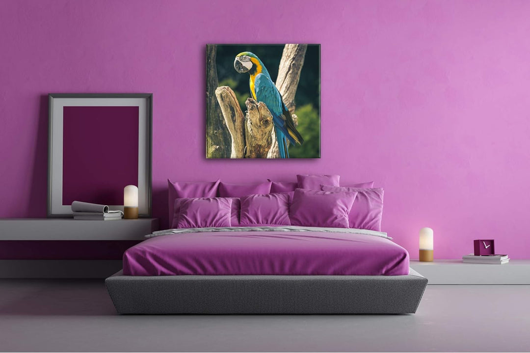 deyoli edler Papagei Format: 70x70 als Leinwand, Motiv fertig gerahmt auf Echtholzrahmen, Hochwertig