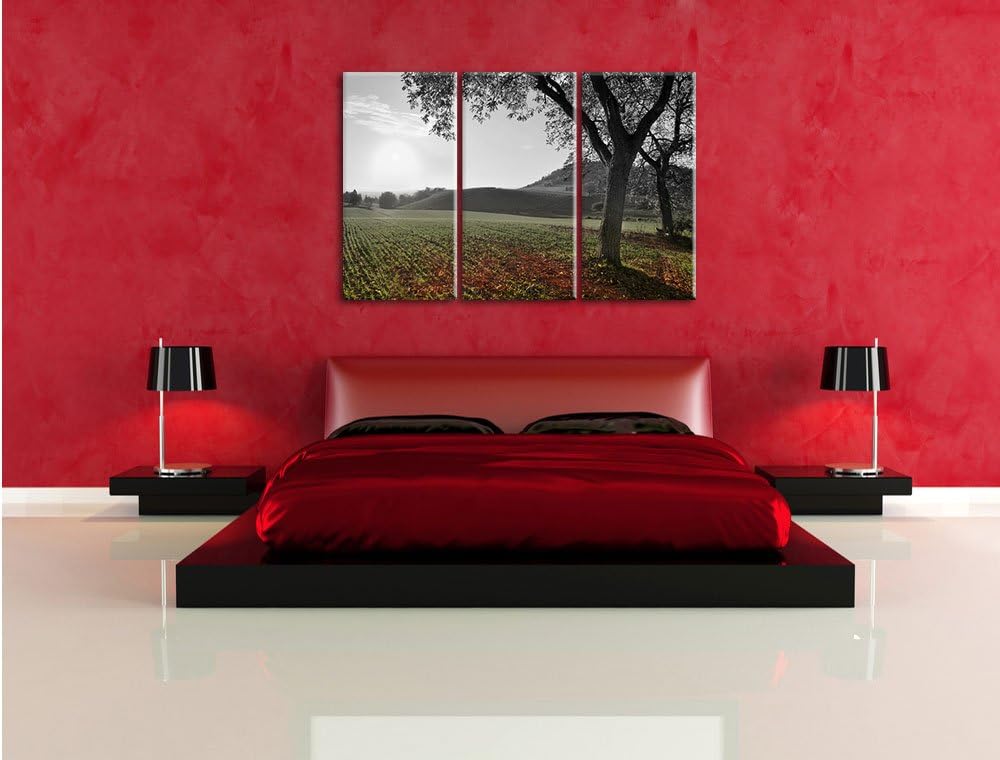 Pixxprint Landschaft im Herbst B&W Detail 3-Teiler Leinwandbild 120x80 Bild auf Leinwand