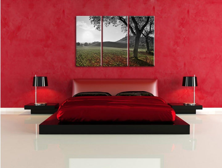 Pixxprint Landschaft im Herbst B&W Detail 3-Teiler Leinwandbild 120x80 Bild auf Leinwand