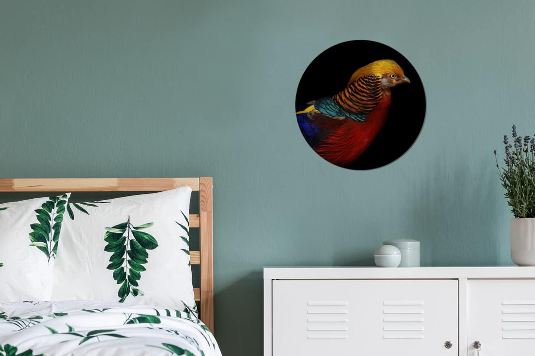 MuchoWow Wandbild Rund Wanddeko Deko Wohnzimmer Bilder 30x30 cm Vogel - Federn - Schwarz - Porträt,