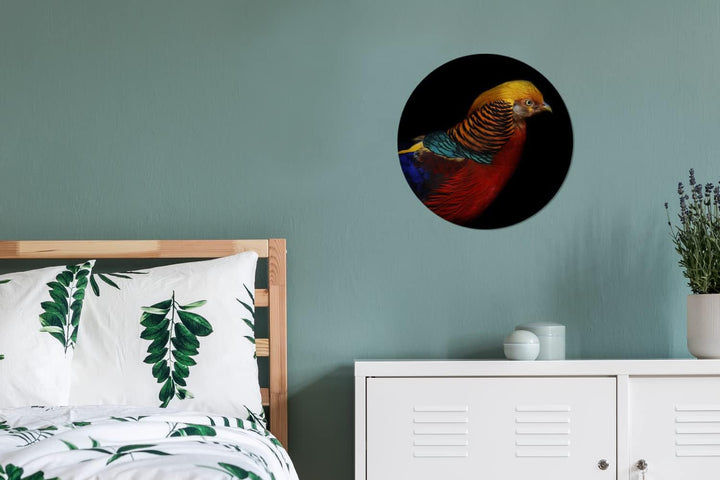 MuchoWow Wandbild Rund Wanddeko Deko Wohnzimmer Bilder 30x30 cm Vogel - Federn - Schwarz - Porträt,
