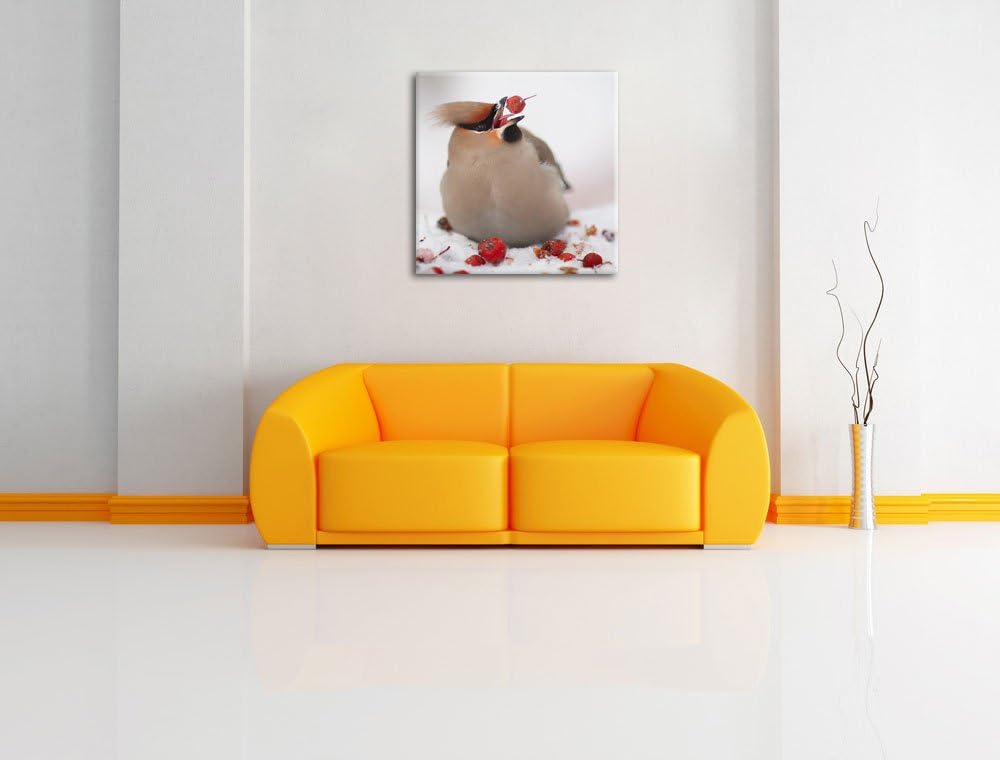 Kleiner Vogel im Schnee, Format: 70x70 auf Leinwand, XXL riesige Bilder fertig gerahmt mit Keilrahme