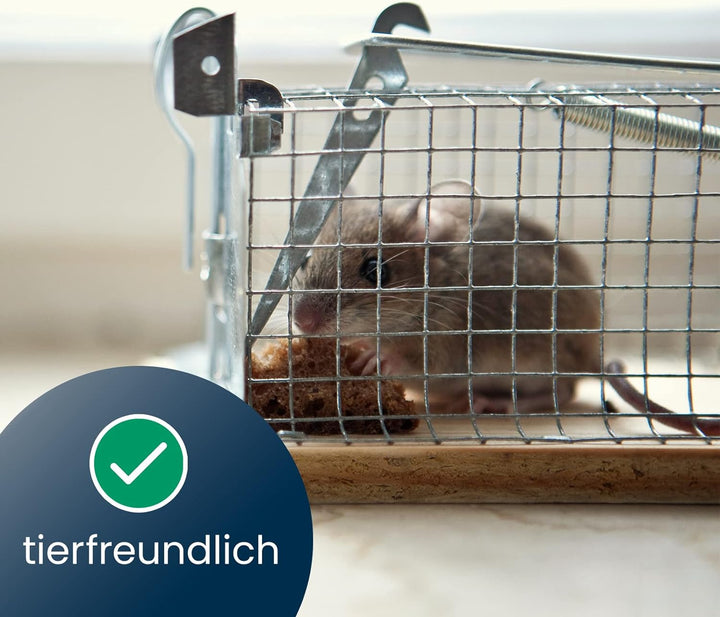ARTECSIS 2 Lebendfallen für Ratten 29x12x12cm aus OSB-Holz und verzinktem Stahl/Effektiv., 2