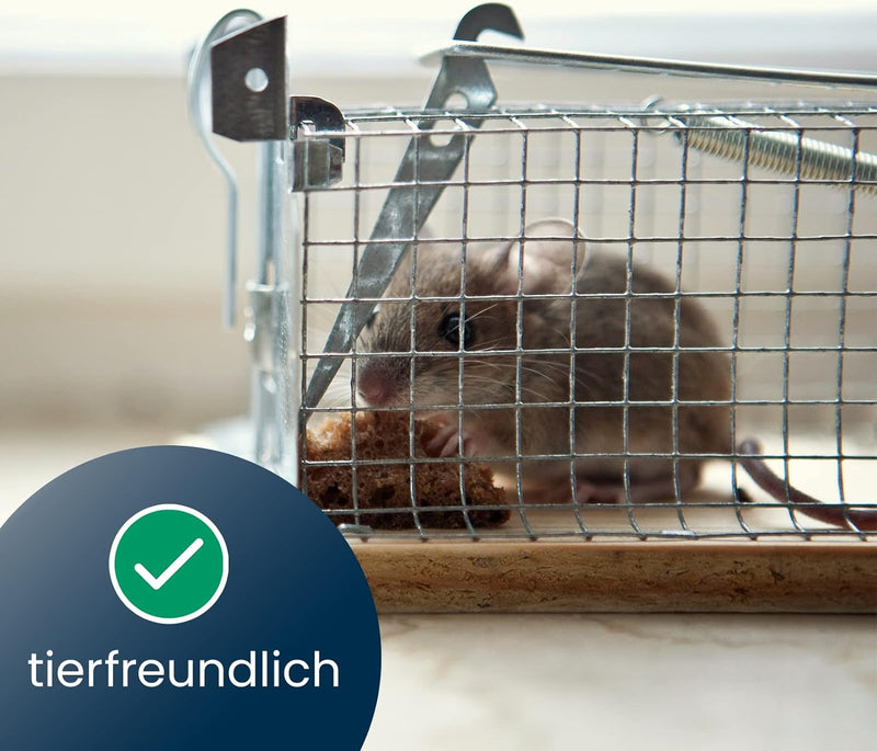 ARTECSIS 2 Lebendfallen für Ratten 29x12x12cm aus OSB-Holz und verzinktem Stahl/Effektiv., 2