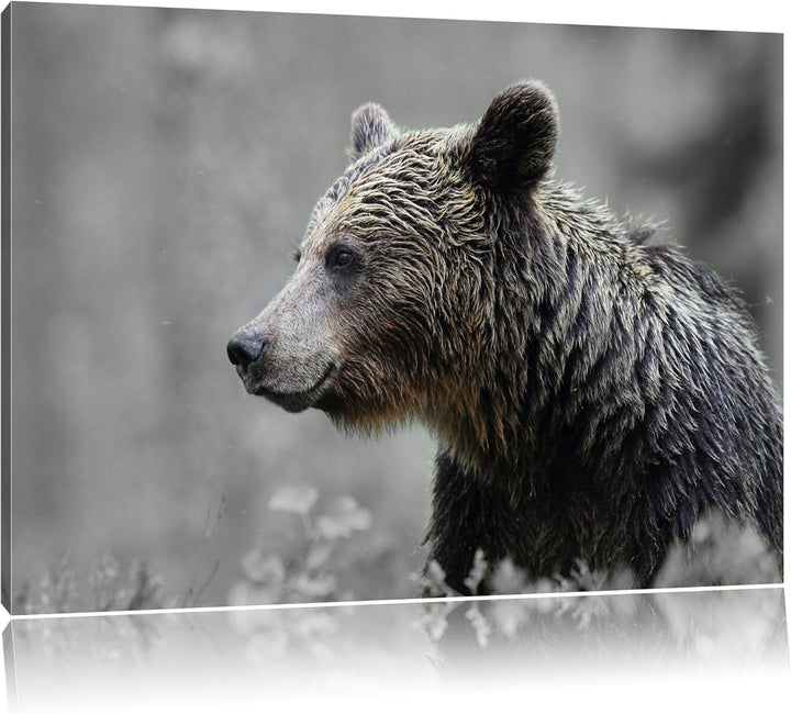 einsamer Bär im Wald schwarz/weiss Format: 100x70 auf Leinwand, XXL riesige Bilder fertig gerahmt mi