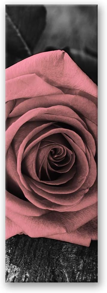 Feeby Wanddeko Rose Leinwandbild Kunstdruck Blumen Rosa 40x100 cm Leinwandbild 40x100 cm Rosa_c, Lei