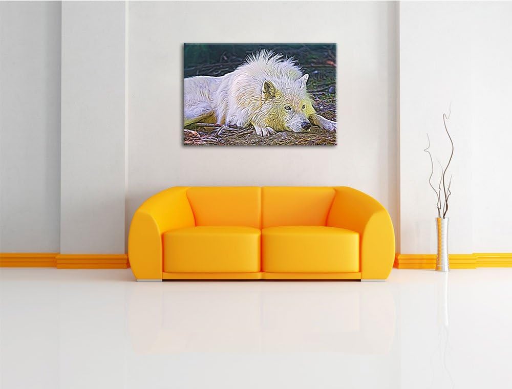 ruhender Polarwolf Deluxe Format: 100x70 cm auf Leinwand, XXL riesige Bilder fertig gerahmt mit Keil