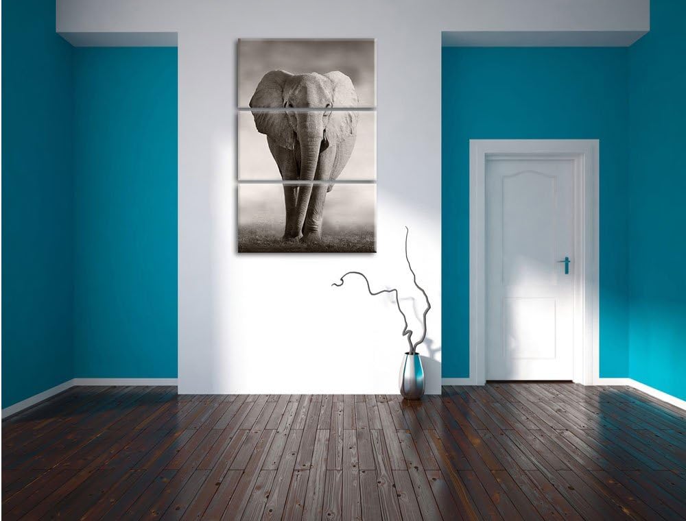 Pixxprint Elefant in Savanne 3-Teiler Leinwandbild 120x80 Bild auf Leinwand