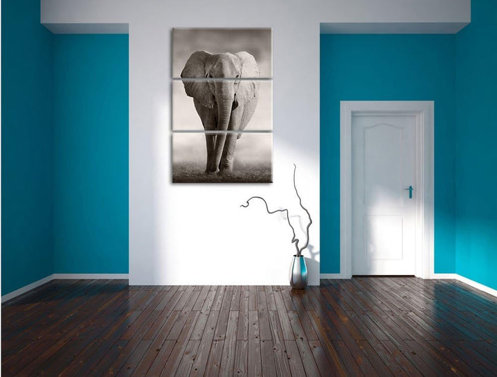 Pixxprint Elefant in Savanne 3-Teiler Leinwandbild 120x80 Bild auf Leinwand