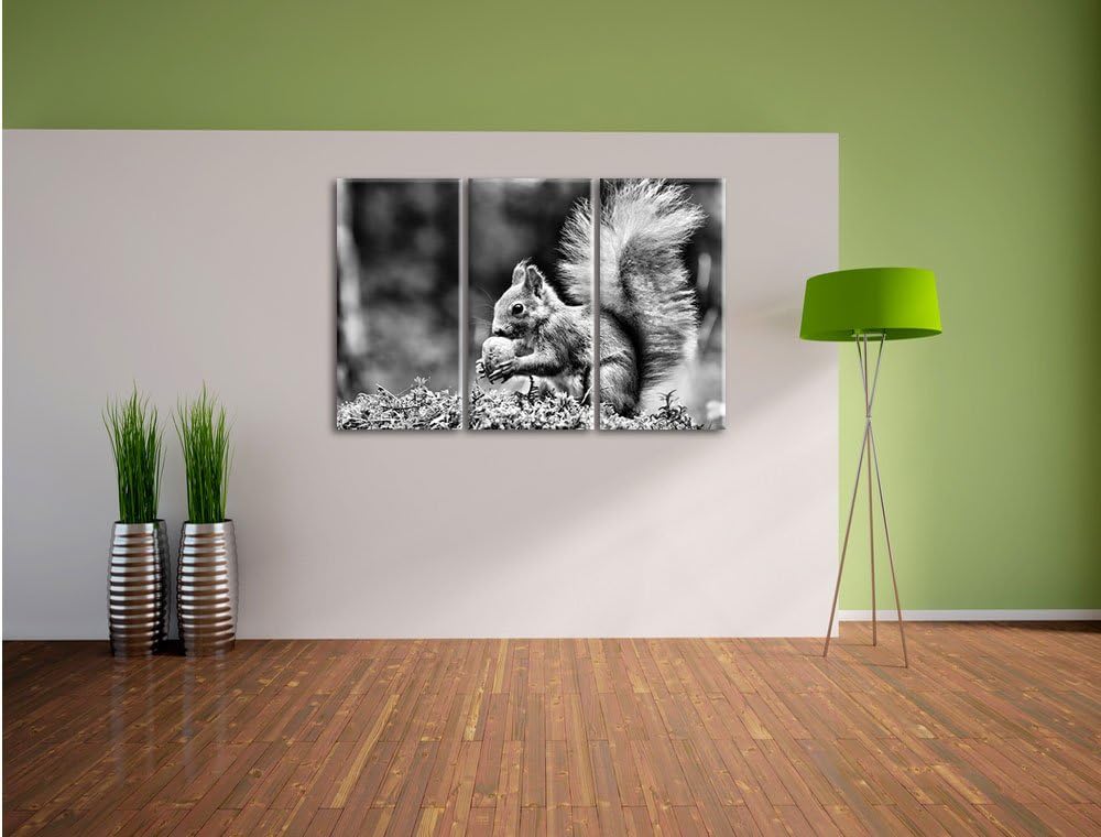 Pixxprint Eichhörnchen mit Nuss als Leinwandbild/Grösse: 3 Teilig (120x80) / Wandbild/Kunstdruck/fer