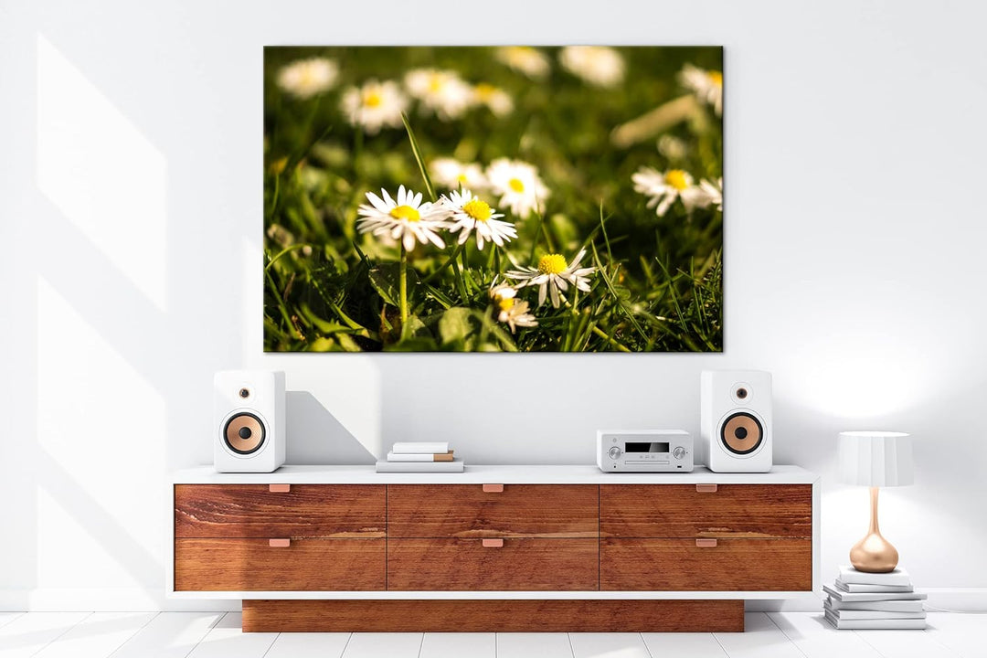 deyoli Gänseblümchen auf schöner Wiese im Format: 60x40 als Leinwandbild, Motiv fertig gerahmt auf E