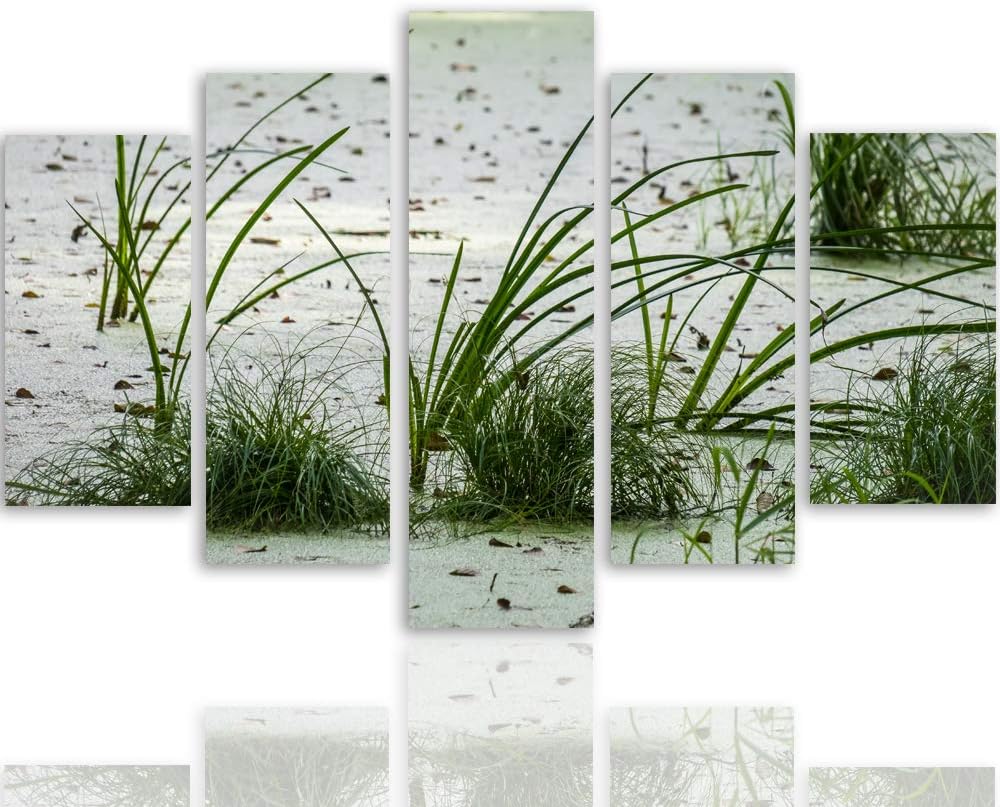 Feeby Bild auf Leinwand Natur 5 Teilig Modern Gras Strand Sand Landschaft grün 200x100 cm Leinwandbi