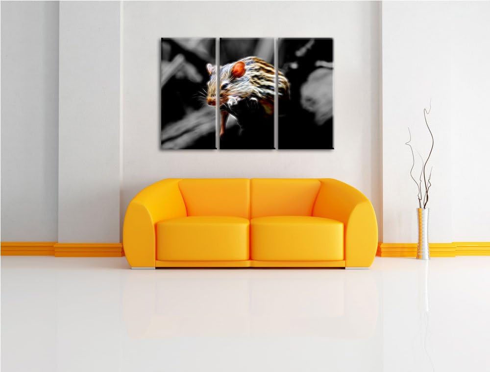 Dark ruhende Feldmaus schwarz/weiss Deluxe 3-Teiler Leinwandbild 120x80 Bild auf Leinwand, XXL riesi