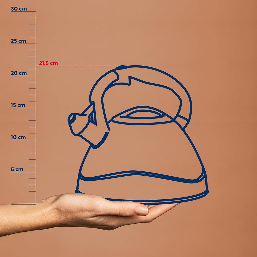 Kela 11656 Wasserkessel mit Pfeifton, Induktionsgeeignet, 3 L, Edelstahl, Varus, Schwarz Schwarz Sin