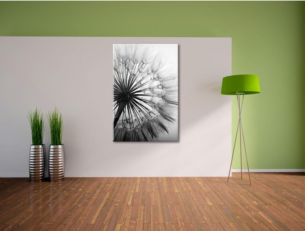 Pixxprint Schöne Pusteblume Schwarz/Weiss, Format: 100x70 auf Leinwand, 100x70