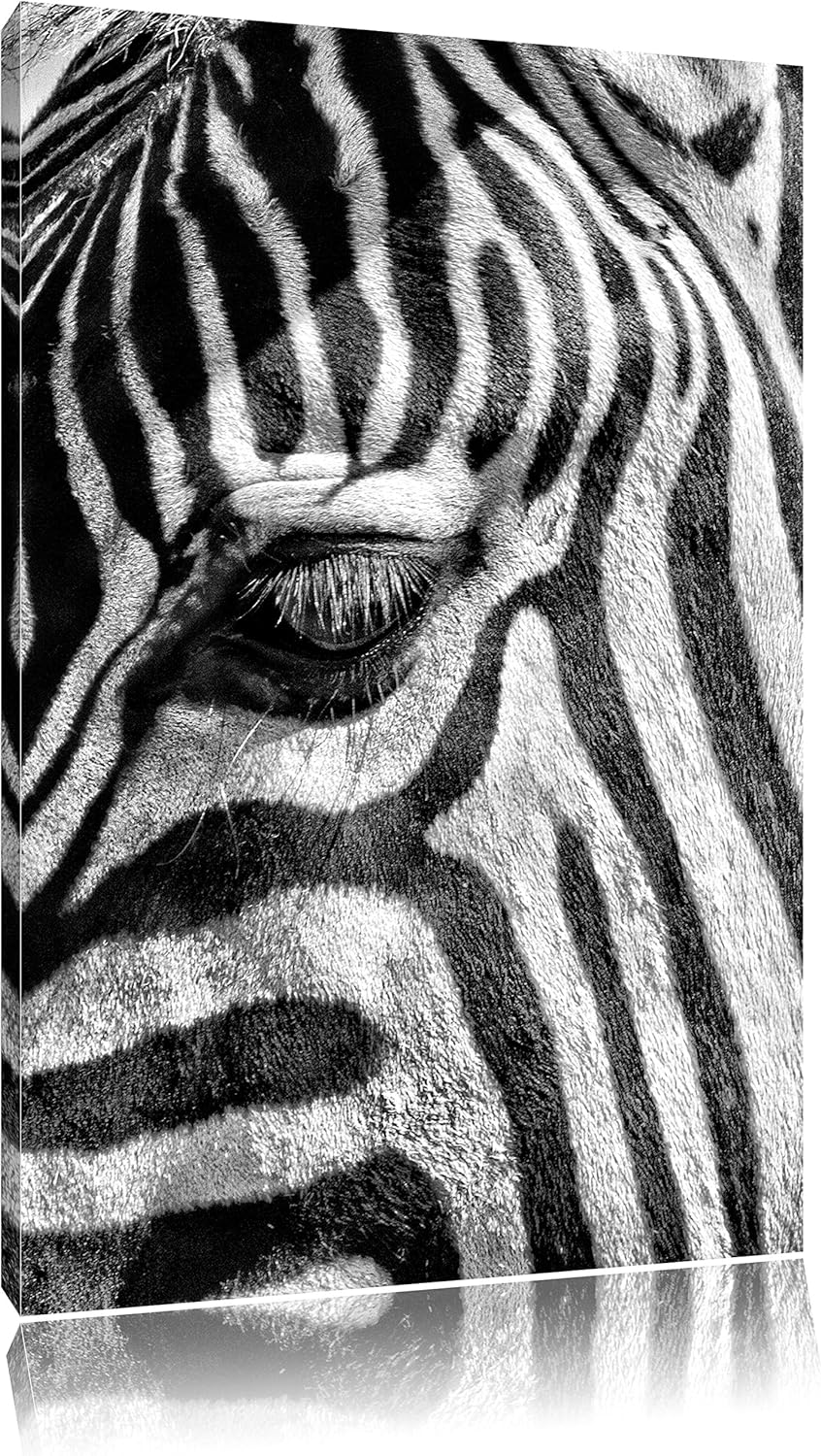 Monocrome, Zebra Porträt , Format: 100x70 auf Leinwand, XXL riesige Bilder fertig gerahmt mit Keilra