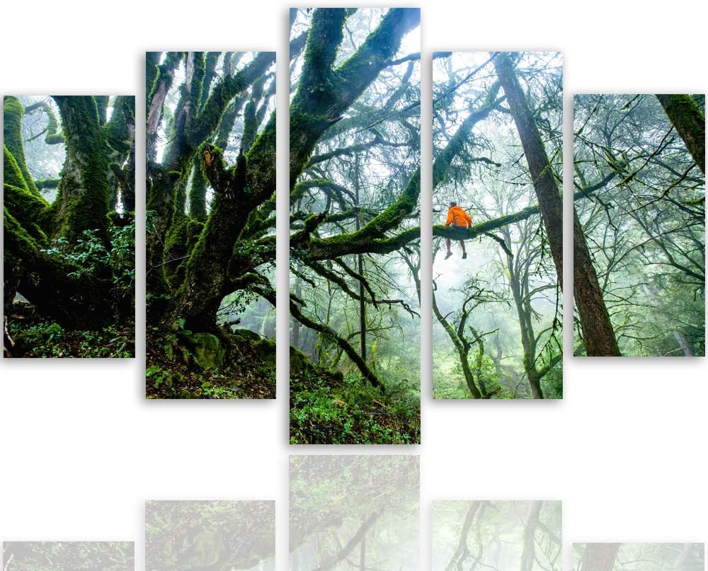 Feeby Leinwandbild Landschaft 5 TLG Bild Kunstdruck Natur Wald Mensch grün 100x70 cm Leinwandbild 10