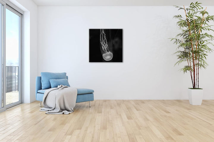 deyoli die langen Tentakel einer Qualle Effekt: Schwarz&Weiss, Format: 70x70 als Leinwandbild, Motiv